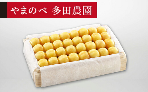 【ふるさと納税】《先行予約》2026年 山形県産 特選月山錦 桐箱 約700g 2L以上 やまのべ多田耕太郎のさくらんぼ 送料無料 F20A-058