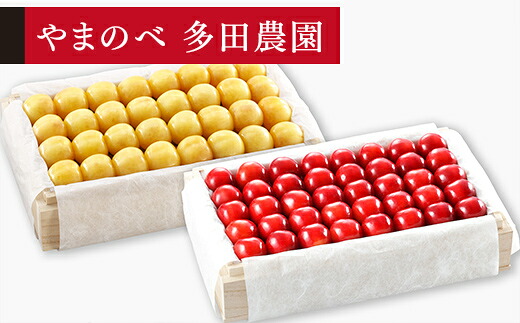 【ふるさと納税】《先行予約》2026年 山形県産 月山錦・紅秀峰 桐箱詰め 約700g×2（2L以上）やまのべ多田耕太郎のさくらんぼ ギフト 贈答 贈り物 送料無料 F20A-065 54,000円