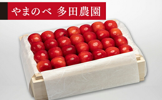 【ふるさと納税】 《先行予約》2026年 山形県産 特選紅秀峰 桐箱詰め 約500g やまのべ多田耕太郎のさくらんぼ サクランボ ギフト 贈答 贈り物 送料無料 F20A-790