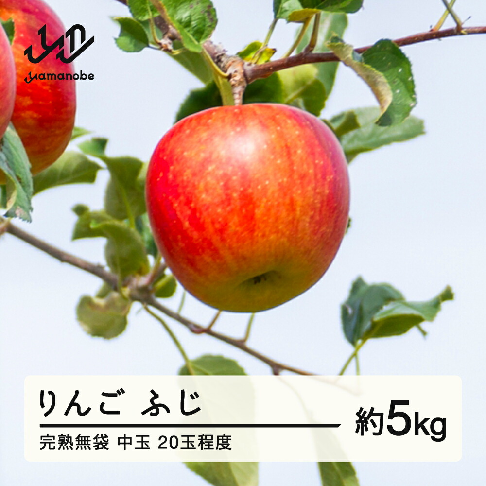 【ふるさと納税】 《先行予約》2025年産 渡辺果樹園 完熟無袋 りんご ふじ 約5kg（20玉程度）中玉 2025年12月上旬より順次発送 秋果実 果物 フルーツ サンふじ 送料無料 F20A-142