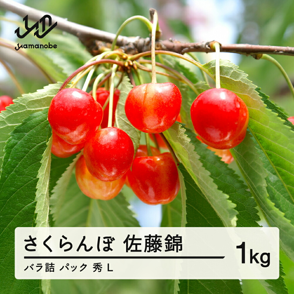 【ふるさと納税】 《先行予約》2025年 山形県産 さくらんぼ 佐藤錦 バラ詰（パック）1kg 秀 L サクランボ フルーツ 果物 送料無料 F21A-345 ※沖縄・離島への配送不可