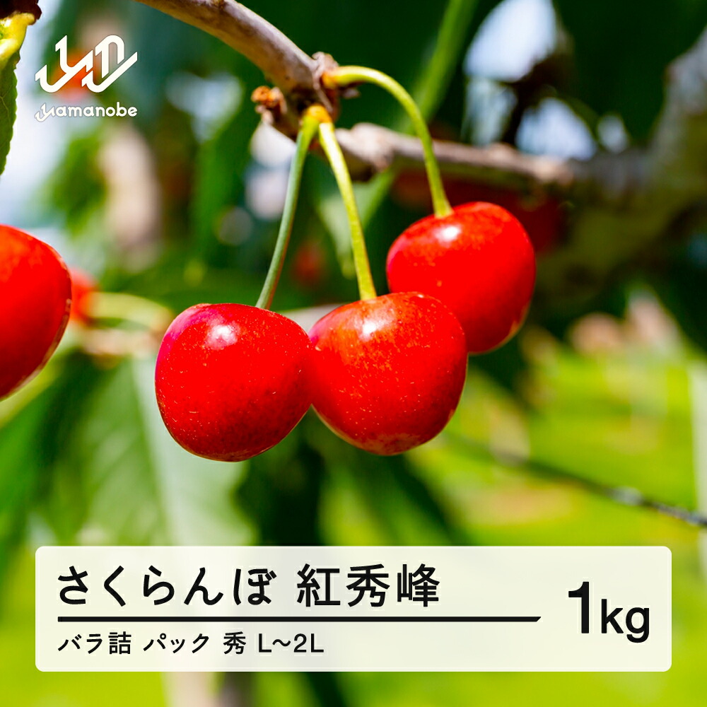【ふるさと納税】 《先行予約》2025年 山形県産 さくらんぼ 紅秀峰 バラ詰（パック）1kg 秀 L～2L サクランボ フルーツ 果物 送料無料 F21A-346