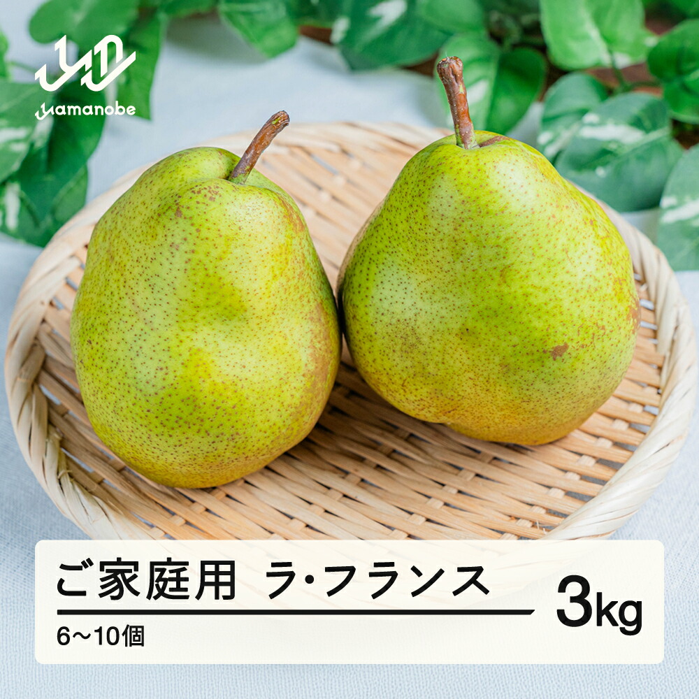 【ふるさと納税】先行予約 2025年 山形県産 ご家庭用 ラ・フランス 3kg（6~10個） 2025年10月下旬頃から順次発送 送料無料 ※沖縄・離島への配送不可  tj-lakxx3