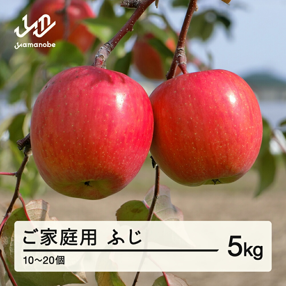 【ふるさと納税】先行予約 2025年 山形県産 ご家庭用 ふじ りんご 5kg（10～20個） 2025年11月下旬頃から順次発送  送料無料 ※沖縄・離島への配送不可 tj-risfk5