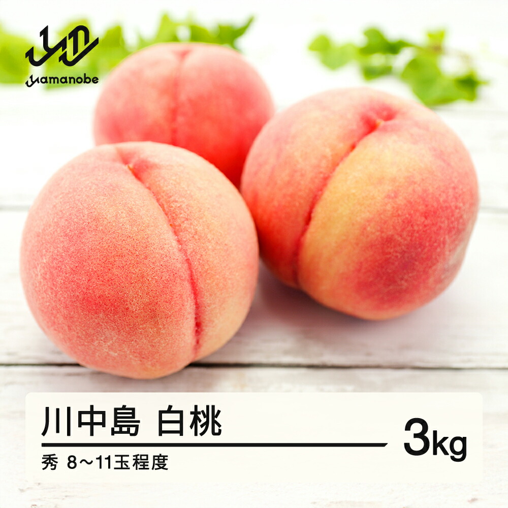 【ふるさと納税】 ≪先行予約≫ 贈答用 2025年 山形県産 川中島白桃 秀 3kg（8～11玉） 2025年8月下旬から順次発送 もも 夏果実 果物 フルーツ 送料無料 F21A-419