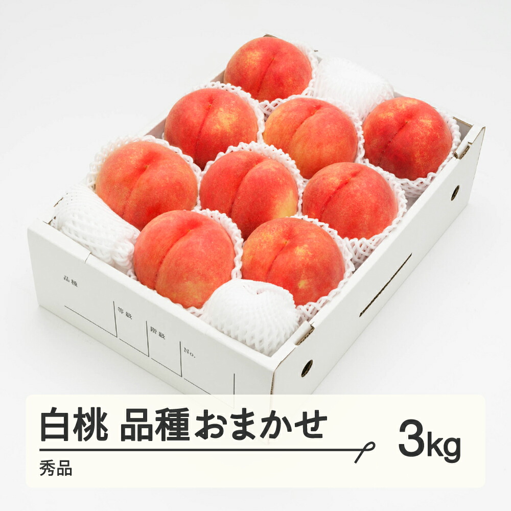 【ふるさと納税】もも 白桃 秀品 品種おまかせ 化粧箱入り 約3kg 令和7年産 2025年産 山形県産 果物 送料無料 ns-mohtx3<br>※沖縄・離島への配送不可