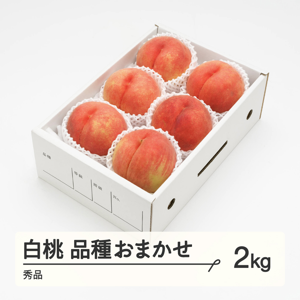 【ふるさと納税】もも 白桃 秀品 品種おまかせ 化粧箱入り 約2kg 令和7年産 2025年産 山形県産 果物 送料無料 ns-mohtx2 ※沖縄・離島への配送不可