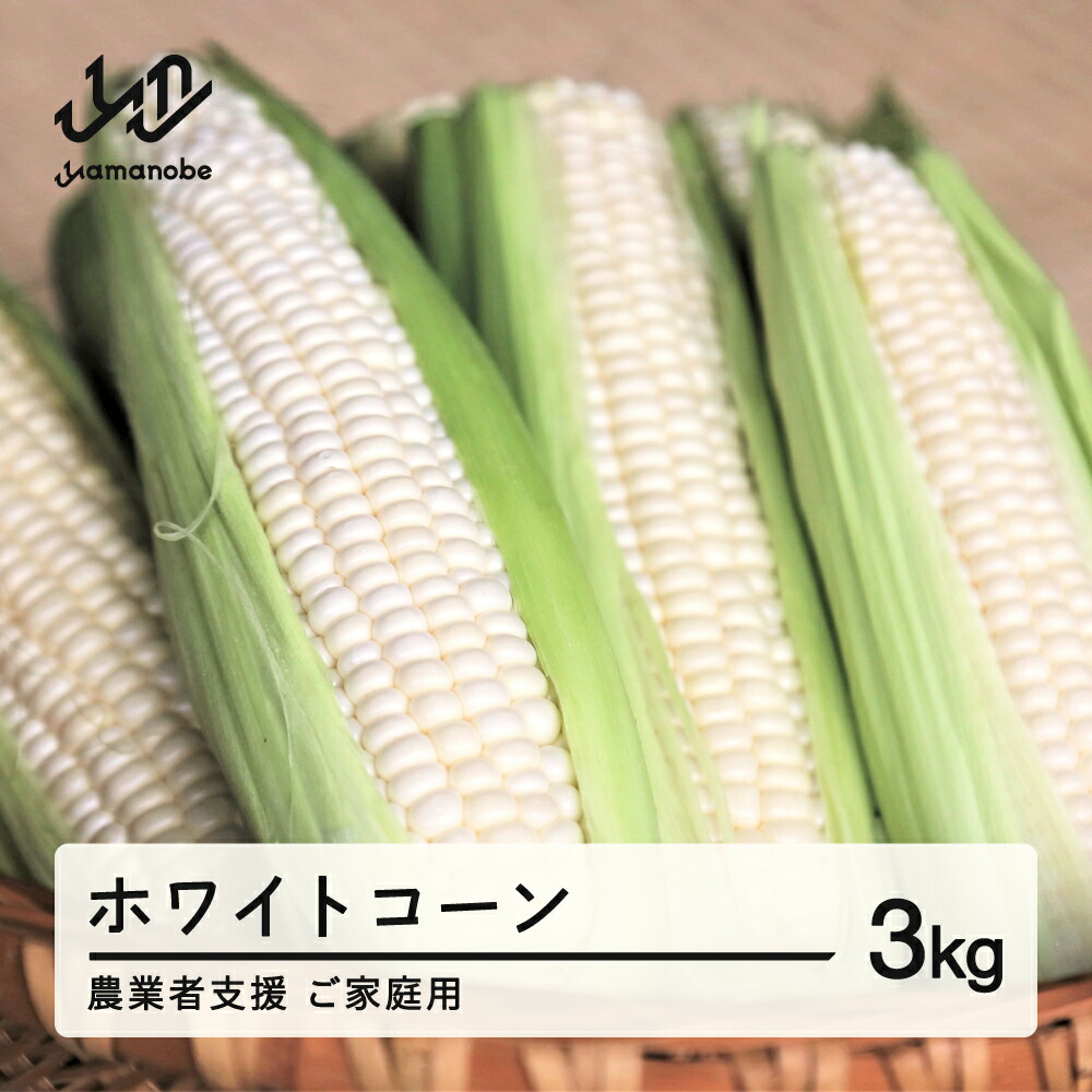 【ふるさと納税】 ≪先行予約≫ 農業者支援 ご家庭用 2025年 山形県産 ホワイトコーン 3kg  生で味わう 白とうもろこし トウモロコシ コーン 夏 野菜 やさい ※沖縄・離島への配送不可  送料無料 F21A-429