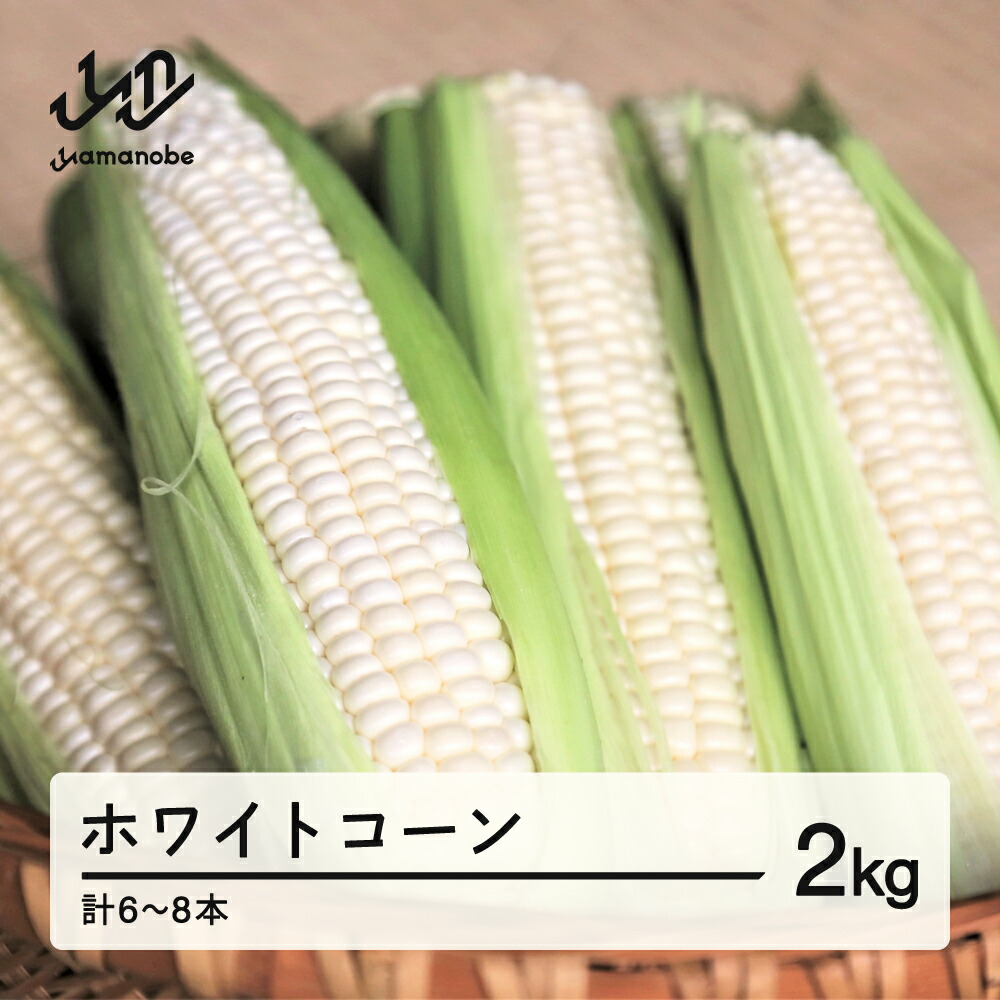 【ふるさと納税】 《先行予約》2025年 山形県産 ホワイトコーン 2kg(6-8本）生で味わう 白とうもろこし トウモロコシ コーン 夏 野菜 やさい ※沖縄・離島への配送不可 送料無料 F21A-243