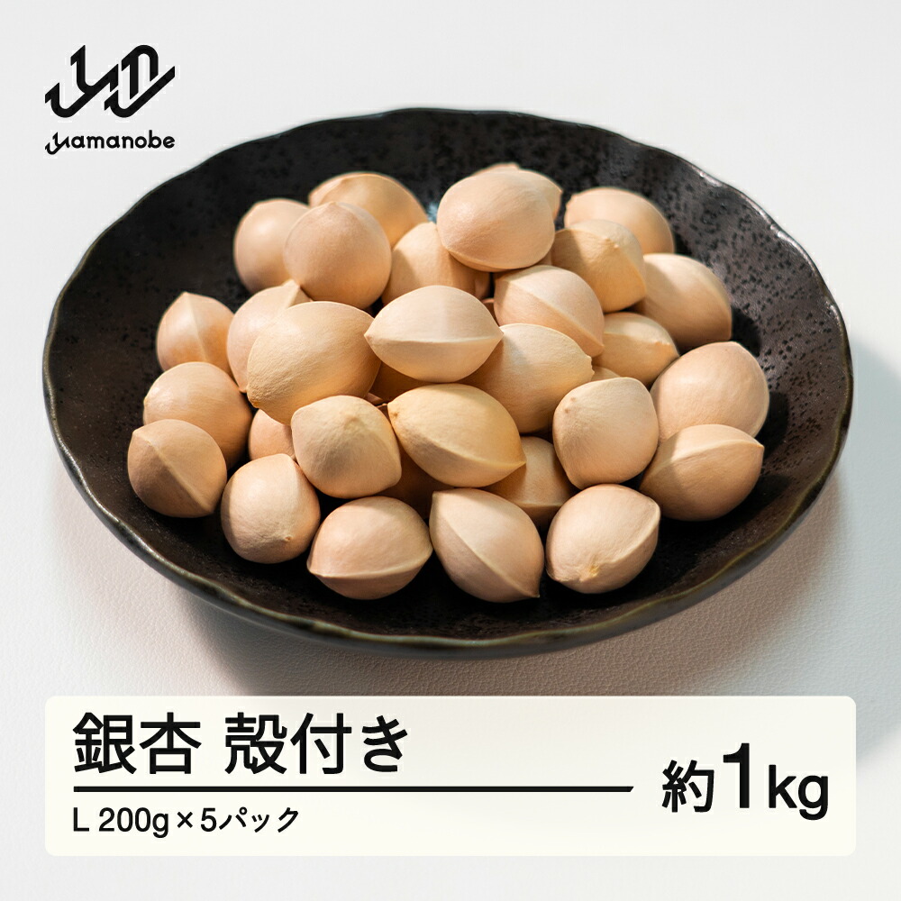 【ふるさと納税】≪先行予約≫2025年 山形県産 銀杏 殻付き L 約1kg（200g×5パック） 2025年10月中旬から順次発送 ぎんなん おつまみ 真空パック 個包装 小分け 秋 野菜 送料無料 ※沖縄・離島への配送不可  F20A-730