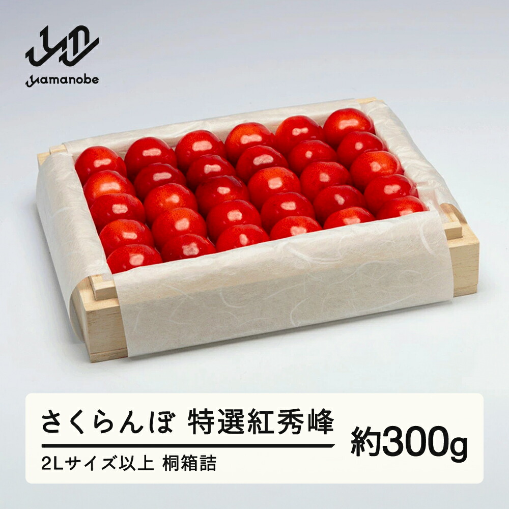 【ふるさと納税】《先行予約》2025年 山形県産 特選紅秀峰 桐箱詰め 約300g 2L以上 やまのべ多田耕太郎のさくらんぼ ギフト 贈答 贈り物 送料無料 F20A-049