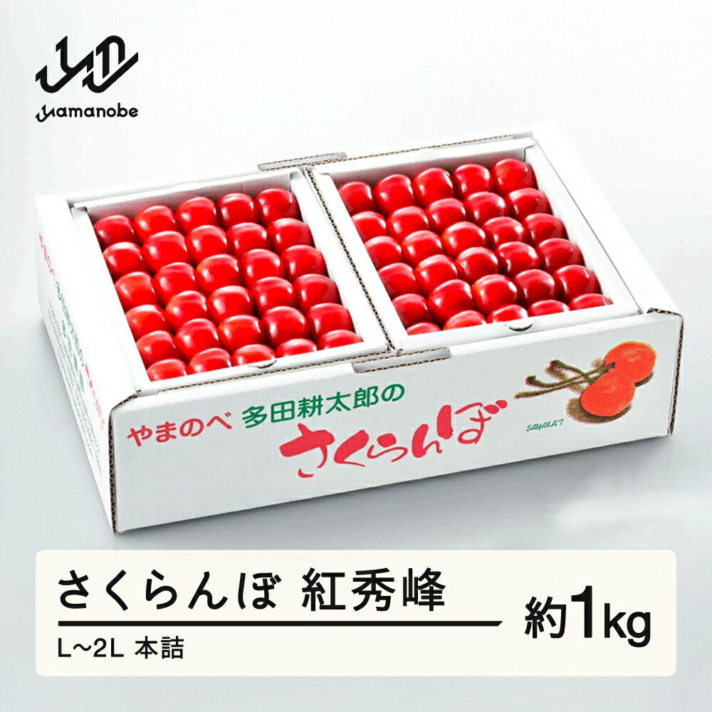 【ふるさと納税】《先行予約》2025年 山形県産 紅秀峰 本詰約1kg L~2L やまのべ多田耕太郎のさくらんぼ 送料無料 F20A-054