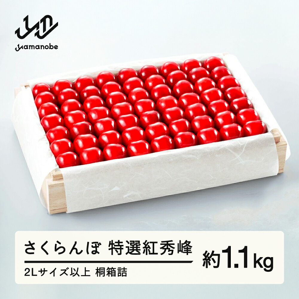 【ふるさと納税】《先行予約》2025年 山形県産 特選紅秀峰 桐箱詰め 約1100g 2L以上 やまのべ多田耕太郎のさくらんぼ ギフト 贈答 贈り物 送料無料 F20A-061
