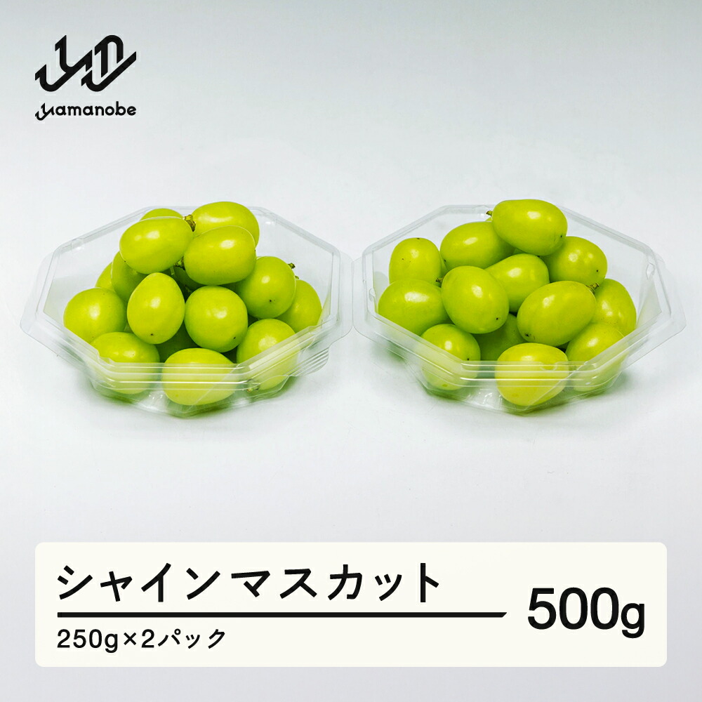 【ふるさと納税】 《先行予約》2025年 山形県産 シャインマスカット ダイヤパック 250g×2パック やまのべ多田農園のぶどう 送料無料 F21A-312