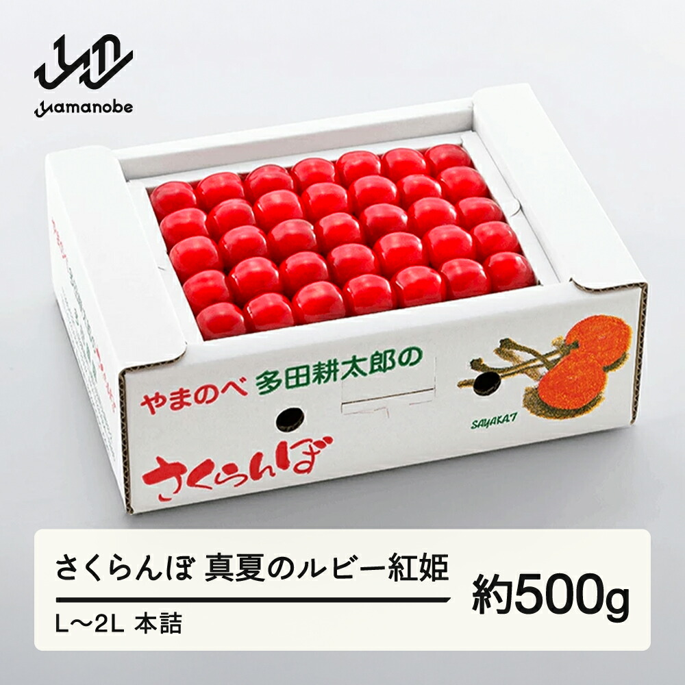 【ふるさと納税】〈先行予約〉 2025年 山形県産 さくらんぼ 真夏のルビー紅姫 約500g L~2L 本詰め やまのべ多田耕太郎のさくらんぼ 《2025年7月中旬頃~順次発送》 多田農園 予約 サクランボ 紅姫 フルーツ くだもの 果物 デザート 山形県 山辺町 送料無料 F20A-786