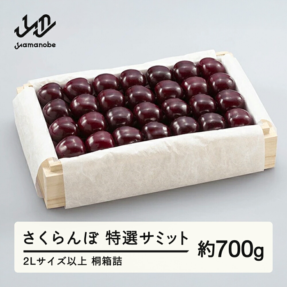 【ふるさと納税】《先行予約》2025年 山形県産 特選サミット 桐箱詰め 約700g やまのべ多田耕太郎のさくらんぼ ギフト 贈答 贈り物 送料無料 F20A-789