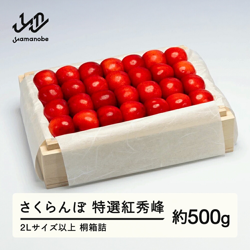 【ふるさと納税】《先行予約》2025年 山形県産 特選紅秀峰 桐箱詰め 約500g やまのべ多田耕太郎のさくらんぼ ギフト 贈答 贈り物 送料無料 F20A-790