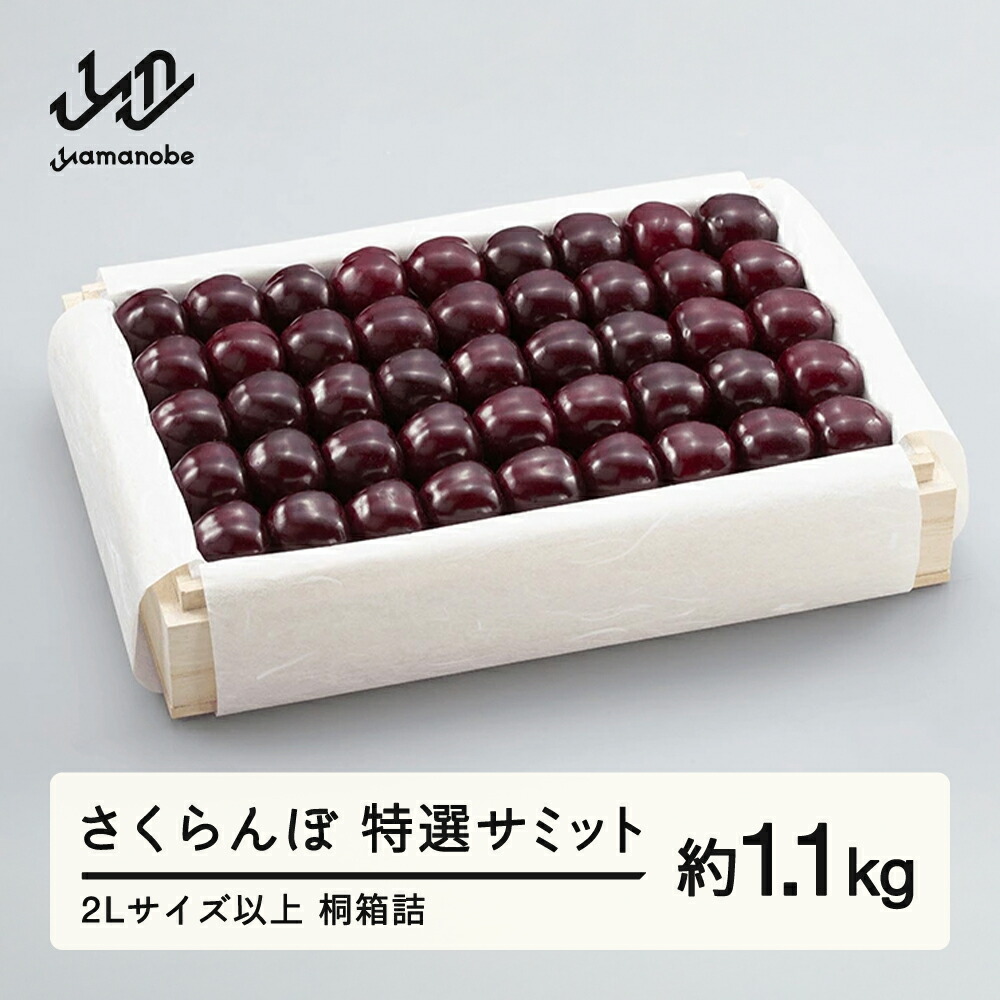 【ふるさと納税】《先行予約》2025年 山形県産 特選サミット 桐箱詰め 約1100g やまのべ多田耕太郎のさくらんぼ ギフト 贈答 贈り物 送料無料 F20A-793