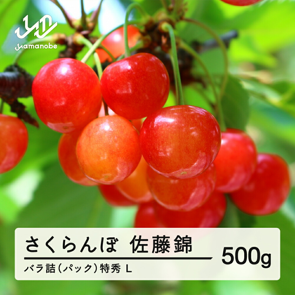 【ふるさと納税】 《先行予約》2025年 山形県産 さくらんぼ 佐藤錦 バラ詰（パック） 500g 特秀 L サクランボ フルーツ 送料無料 F21A-327