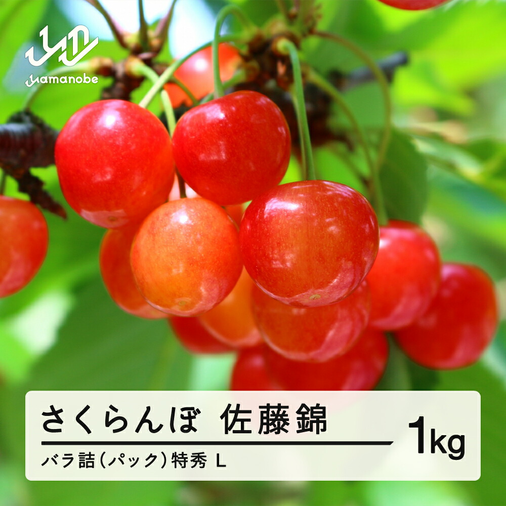 【ふるさと納税】 《先行予約》2025年 山形県産 さくらんぼ 佐藤錦 バラ詰（パック） 1kg 特秀 L サクランボ フルーツ 送料無料 F21A-328