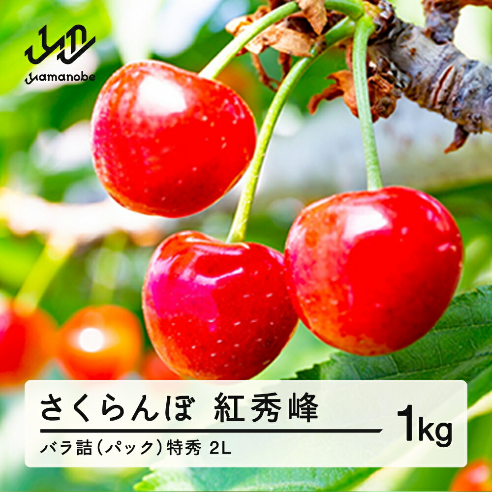 【ふるさと納税】 《先行予約》2025年 山形県産 さくらんぼ 紅秀峰 バラ詰（パック） 1kg 特秀 2L サクランボ フルーツ 送料無料 F21A-329