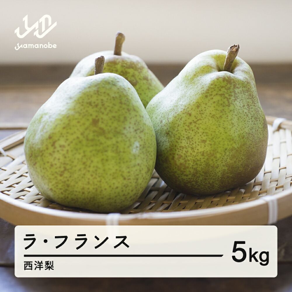【ふるさと納税】《先行予約》山形県産 ラ・フランス 洋梨 ラフランス 令和7年産 5kg 送料無料 tu-laxxx5 ※沖縄・離島配送不可