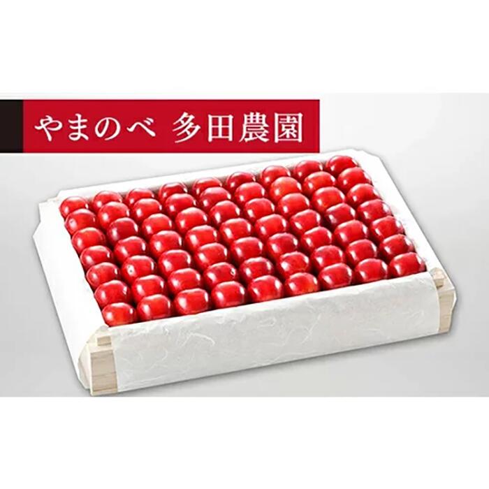 【ふるさと納税】《2025年先行予約》【特選「真夏のルビー紅姫」】桐箱詰 約1,100g【やまのべ多田耕太郎のさくらんぼ 多田農園】期間限定 数量限定  7月中旬より発送 山形県産 サクランボ フルーツ 果物 くだもの 贈答 F4A-0008
