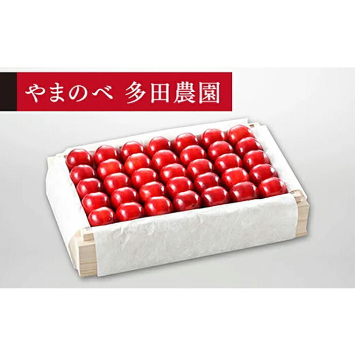【ふるさと納税】《2025年先行予約》【特選「真夏のルビー紅姫」】桐箱詰 約700g【やまのべ多田耕太郎のさくらんぼ 多田農園】期間限定 数量限定  7月中旬より発送 山形県産 サクランボ フルーツ 果物 くだもの 贈答 F4A-0013