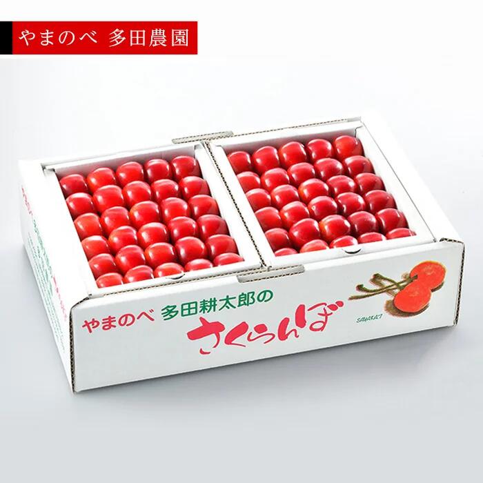 【ふるさと納税】《2025年先行予約》【紅秀峰】手詰 約500g×2【やまのべ多田耕太郎のさくらんぼ 多田農園】期間限定 数量限定  山形県産 サクランボ フルーツ 果物 くだもの F4A-0015