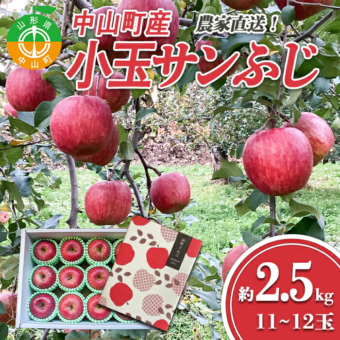 【ふるさと納税】≪2025年先行予約≫  農家直送 山形県中山町産 小玉サンふじりんご 約2.5kg（11~12玉） 数量限定 渡辺ファーム数量限定 渡辺ファーム  渡辺ファーム 山形県産 リンゴ 林檎 フルーツ 果物 くだもの F4A-0079