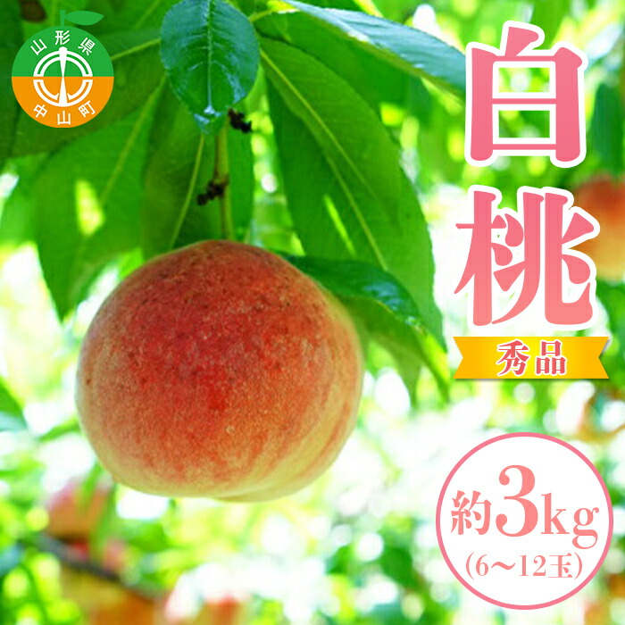 【ふるさと納税】【2025年先行予約】山形県中山町産白桃 約3kg(6玉～12玉) 期間限定 数量限定  山形県産 フルーツ くだもの 果物 もも モモ F4A-0107