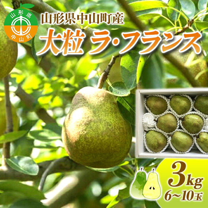 【ふるさと納税】 【2025年先行予約】山形県中山町産 大粒「ラ・フランス」3kg(6～10玉) 特秀品 期間限定 数量限定  山形県産 フルーツ くだもの 果物 ラフランス ナシ 梨 洋なし 洋梨 F4A-0109