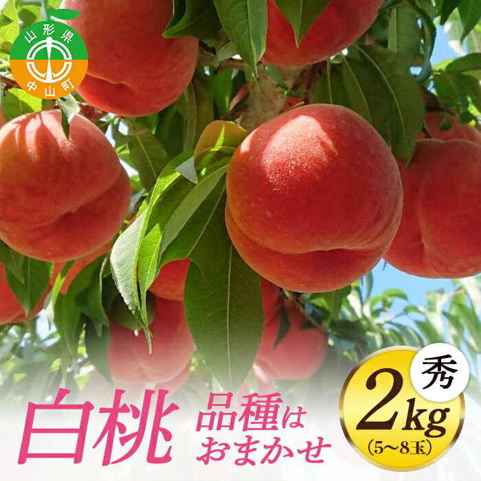 【ふるさと納税】《先行予約・期間限定》山形県産 白桃 秀2kg (5～8玉) 【品種おまかせ】期間限定 数量限定 もも モモ フルーツ 果物 くだもの F4A-0143｜山形県中山町