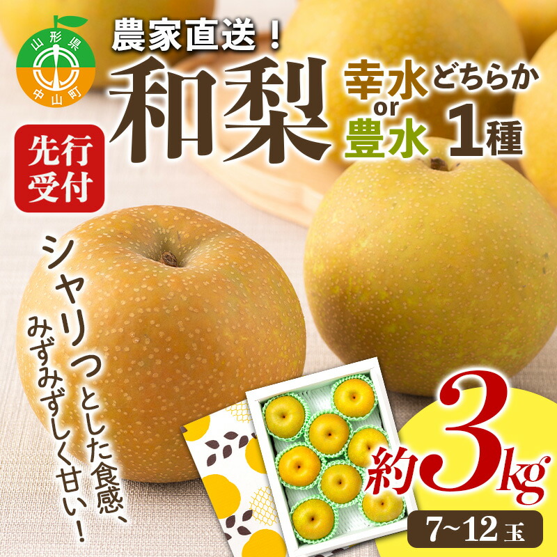 【ふるさと納税】【2025年先行予約】農家直送「和梨」約3kg 中山町 渡辺ファーム 山形県産 梨 なし ナシ 果物 くだもの フルーツ F4A-0261