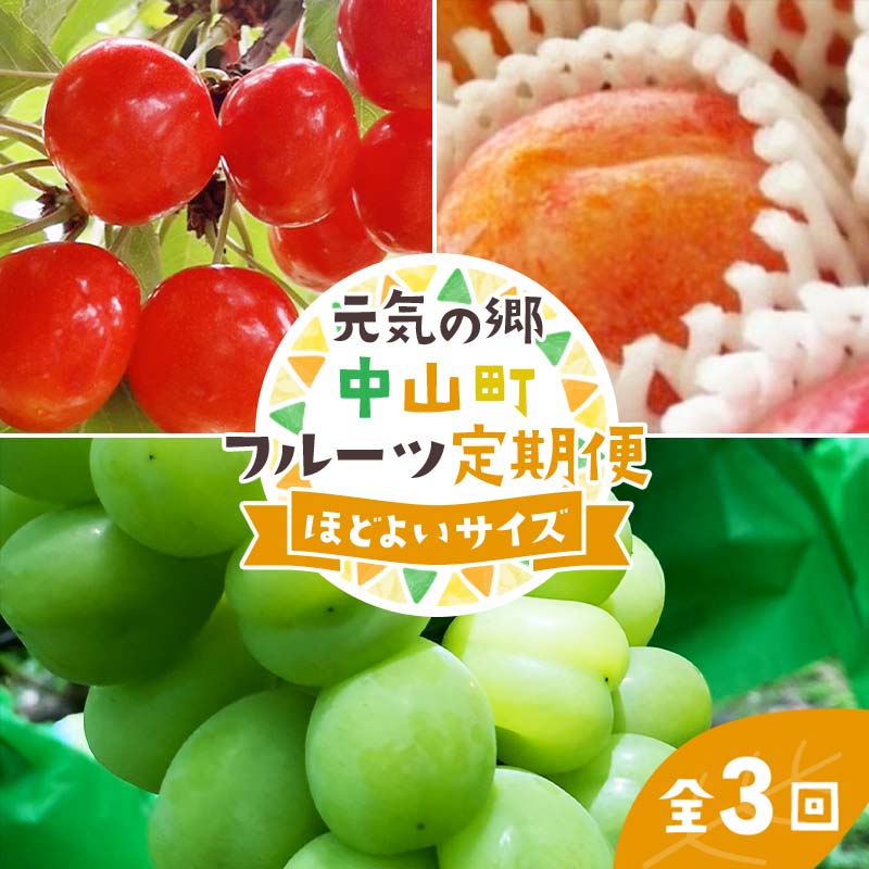 【ふるさと納税】 【2026年先行受付】《定期便3回》元気の郷 中山町フルーツ定期便 ～ほどよいサイズ～ 佐藤錦 秋姫 シャインマスカット さくらんぼ サクランボ 葡萄 ぶどう ブドウ すもも スモモ 山形県産 フルーツ 果物 くだもの F4A-0393 27,300円
