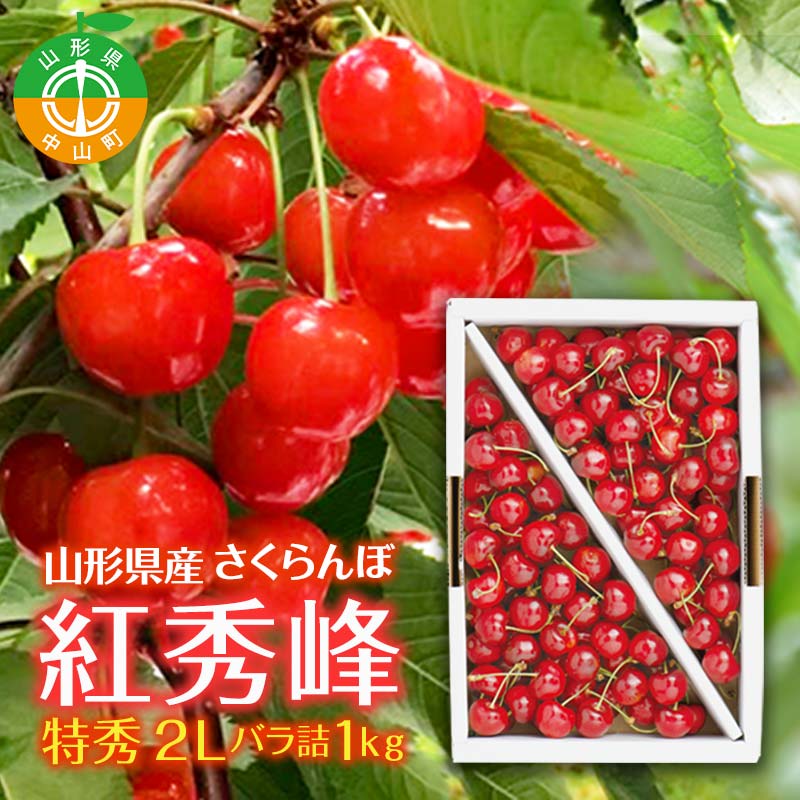 【ふるさと納税】贈答用 山形県産 さくらんぼ 紅秀峰 特秀 2L バラ詰 1kg 2026年6月中旬頃より順次発送予定 露地栽培 果物 くだもの フルーツ 贈答 ギフト 数量限定 産地直送 F4A-0401