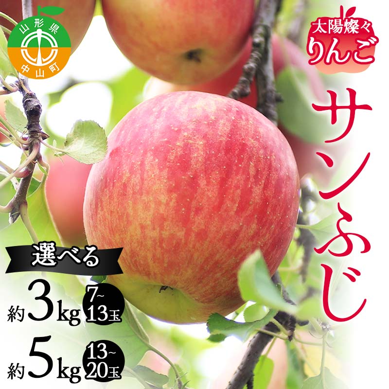 【ふるさと納税】≪2025年度先行予約≫数量が選べる 山形県産 太陽燦々★サンふじりんご りんご 林檎 フルーツ 果物 くだもの 山形県 中山町 F4A-0437var