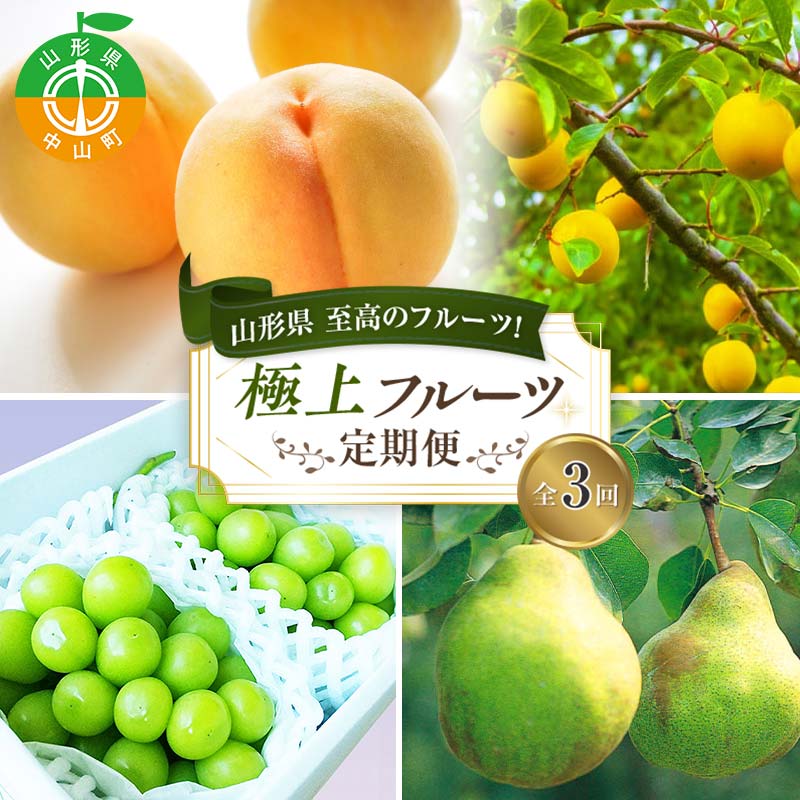 【ふるさと納税】 令和7年8月発送開始 山形県 至高のフルーツ！山形県極上フルーツ定期便 全3回 F4A-0457