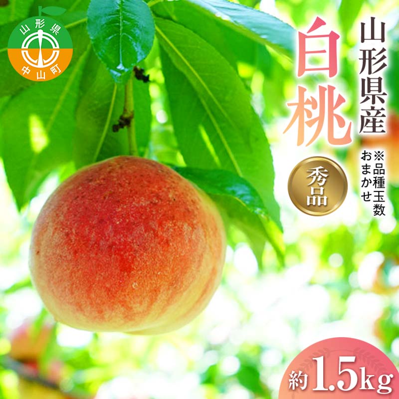 【ふるさと納税】 『令和7年産先行受付』 山形県産白桃※品種玉数おまかせ 秀品 約1.5kg F4A-0459