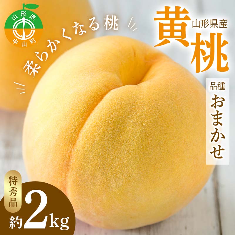 【ふるさと納税】 【令和7年産先行受付】山形県産 黄桃 品種おまかせ 特秀品 柔らかくなる桃 約2kg（黄金桃、スイート光黄、黄ららの極み、黄貴妃 他） F4A-0468