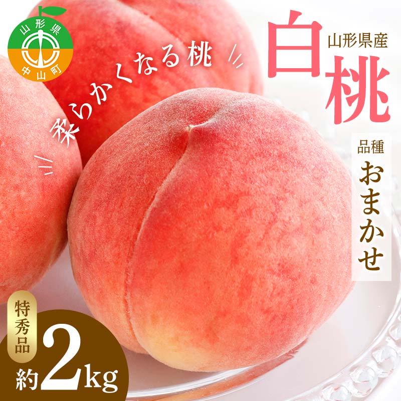【ふるさと納税】 【令和7年産先行受付】山形県産 白桃 品種おまかせ 特秀品 柔らかくなる桃 約2kg（あかつき、陽夏妃、まどか、川中島白桃、かぐや、ゆうぞら、伊達白桃、あおぞら娘 他） F4A-0470