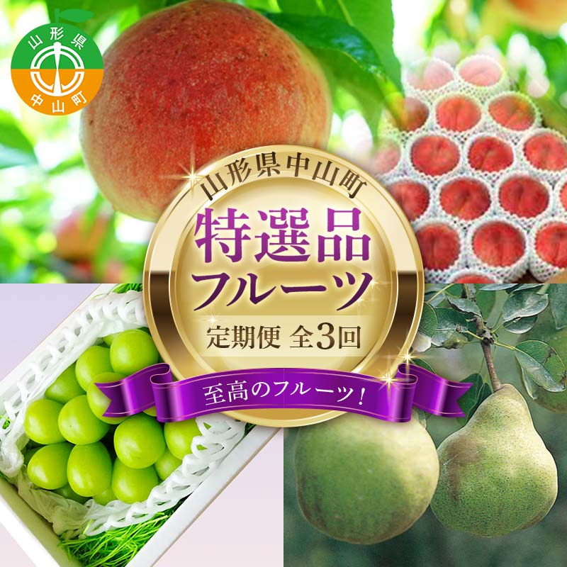 【ふるさと納税】 2026年8月発送開始 先行受付 山形県 至高のフルーツ！ 山形県中山町特選品フルーツ定期便 全3回 桃 シャインマスカット ラ・フランス 山形県 中山町 F4A-0478