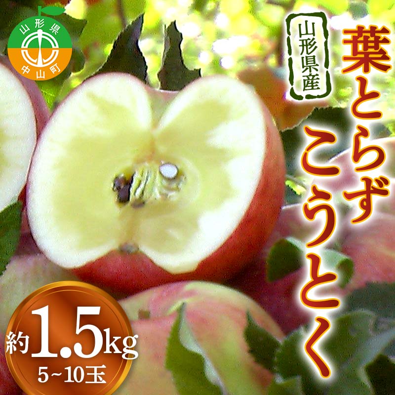 【ふるさと納税】《2026年発送先行予約》山形県産りんご 葉とらずこうとく 約1.5kg 5～10玉 林檎 リンゴ 果物 くだもの フルーツ 山形県産 F4A-0915