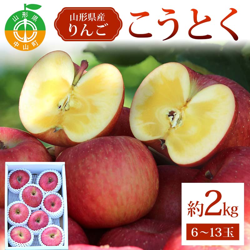 【ふるさと納税】《2026年発送先行予約》こうとく約2kg 6～13玉 こうとく 林檎 リンゴ 果物 くだもの フルーツ 山形県産 F4A-0940｜山形県中山町