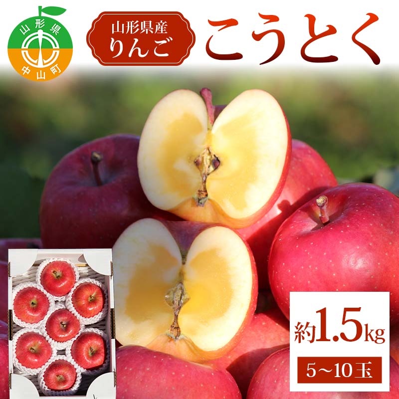 【ふるさと納税】《2026年発送先行予約》こうとく約1.5kg 5～10玉 こうとく 林檎 リンゴ 果物 くだもの フルーツ 山形県産 F4A-0941