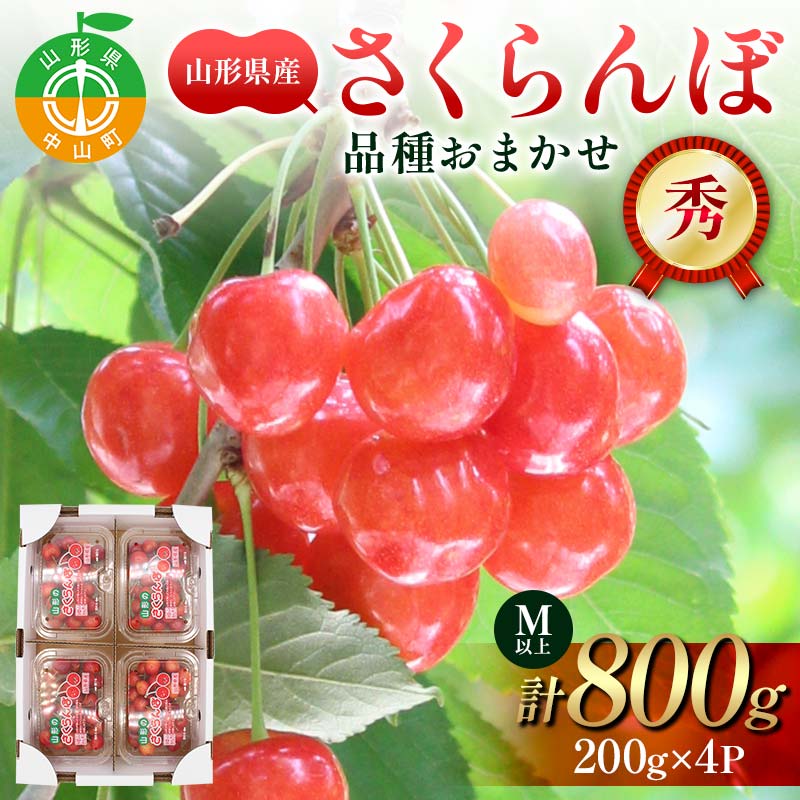 【ふるさと納税】山形県産 さくらんぼ 200g×4パック 品種おまかせ Mサイズ以上 秀品 (佐藤錦・紅秀峰・大将錦) 果物 くだもの フルーツ 夏果物 サクランボ  F4A-0945