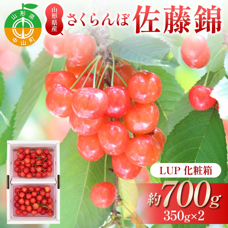【ふるさと納税】さくらんぼ佐藤錦 約700g 350×2 L以上化粧箱 果物 くだもの フルーツ 夏果物 サクランボ F4A-0947