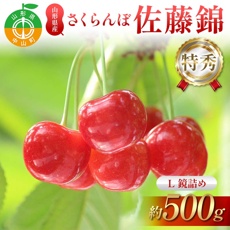 【ふるさと納税】さくらんぼ佐藤錦 約500g L 特秀 鏡詰め 果物 くだもの フルーツ 夏果物 サクランボ F4A-0949