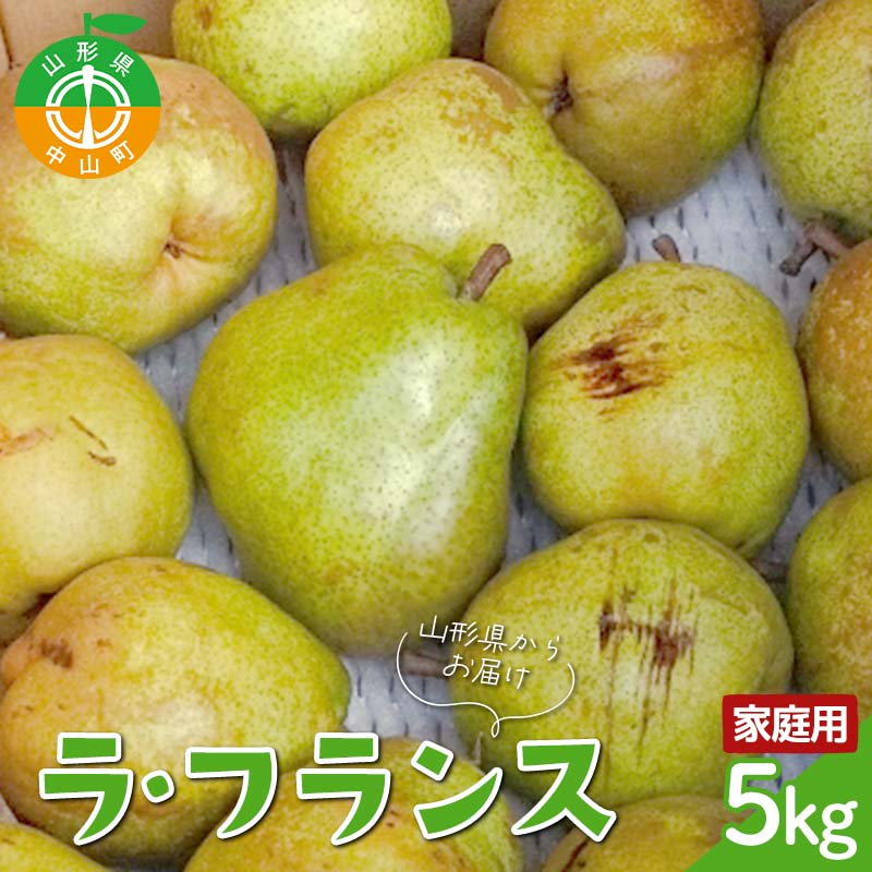 【ふるさと納税】【令和7年産先行受付】山形県産高糖度「ラ・フランス」5kg 家庭用(訳あり) 玉数おまかせ らふらんす 果物 くだもの フルーツ 中山町 訳あり 自宅用 F4A-0953
