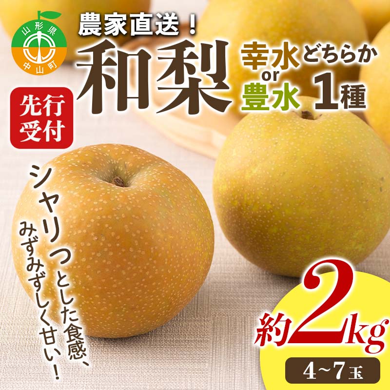 【ふるさと納税】【2025年先行予約】農家直送「和梨」約2kg 中山町 渡辺ファーム 山形県産 梨 なし ナシ 果物 くだもの フルーツ F4A-0954